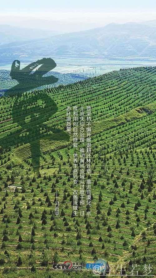 习近平：凝聚力量共创美丽中国 让大地更显绿色生机